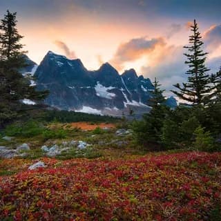 Imagen de perfil de Природа | Красоты со всего Мира en Telegram