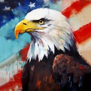 Profilbild von American auf Telegram