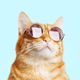 Profile image of Funny Animals on Telegram
