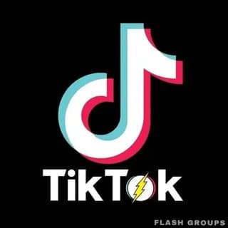 Profile image of TikTok Followers on Telegram