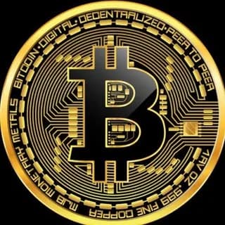 Image de profil de Kripto Balina sur Telegram