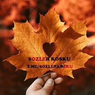 Profile image of 🍁 Sözler Köşkü 🍁 on Telegram