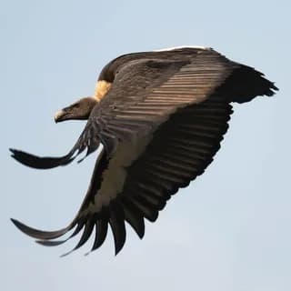 Profile image of Dünyadan Kareler on Telegram