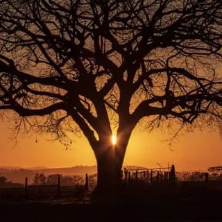 Imagem de perfil de Foto de Tudo 📷📱 no Telegram