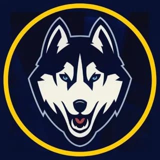 Imagem de perfil de Contingência Lobo do tráfego 🐺 no Telegram