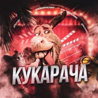 Profilbild von КУКАРАЧА ПРИКОЛЫ auf Telegram