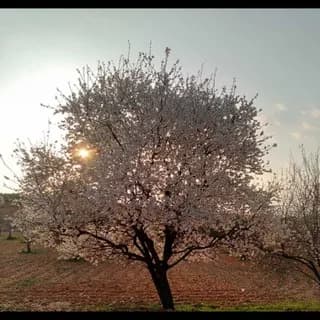 Profile image of HOŞÇAKAL ÜLKESİ 🍂 on Telegram