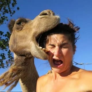 Profile image of Crazy Moments USA on Telegram