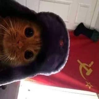 Profile image of Envanter on Telegram