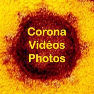 Profile image of Coronavidéos & photos on Telegram