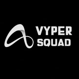 Profile image of Vyper Squad ® ™ on Telegram