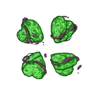 Profile image of 4ch on Telegram