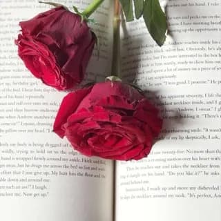 Profile image of قناة تعليم اللغه الانجليزيه 📚🖊. on Telegram