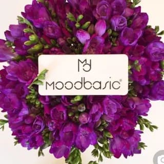 Imagem de perfil de Moodbasic&Mymood Laleli no Telegram