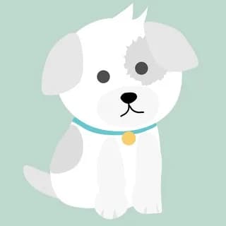 Imagen de perfil de 🙀 Ofertas para Mascotas: Transporte, alimentación, juguetes en Telegram