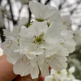 Profile image of 🌳🌿DOĞA İLE İÇ İÇE🌳🌴 on Telegram