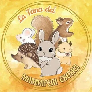 Immagine del profilo di La Tana dei Mammiferi Esotici 🐿️ su Telegram