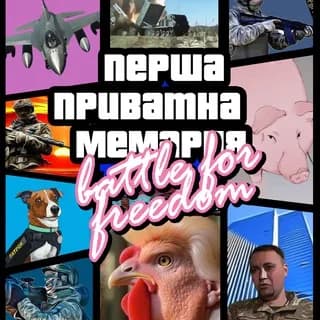 Profilbild von ✙ Перша приватна мемарня auf Telegram