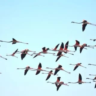 Profile image of Destination-Karakalpakstan on Telegram