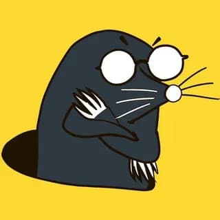Immagine del profilo di Ёшкин Крот su Telegram
