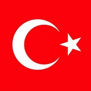 Profile image of اغاني تركية Türkçe şarkılar on Telegram