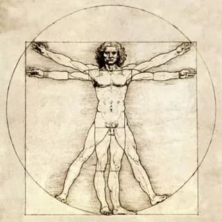 Immagine del profilo di Anatomia su Telegram