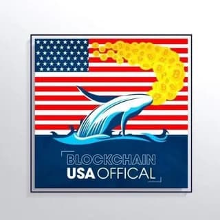 Profile image of Blockchain USA Official ( Binance ) on Telegram