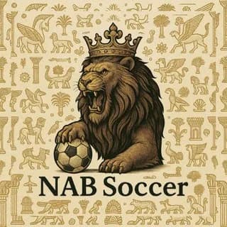 Profile image of 🖤 𝐍𝐚𝐛 𝐒𝐨𝐜𝐜𝐞𝐫 🏴 on Telegram
