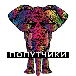 Imagen de perfil de Индия (попутчики) 🥻🐃👳‍♂️ en Telegram