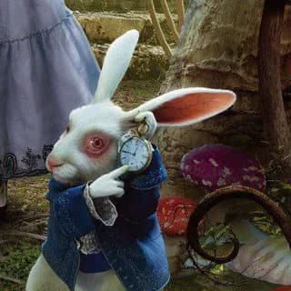 Profile image of 𝕸𝖈𝕿𝖜𝖎𝖘𝖕'𝖘 𝕰𝖒𝖕𝖔𝖗𝖎𝖚𝖒 🐰 on Telegram