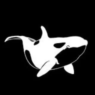 Image de profil de Whales Signals sur Telegram