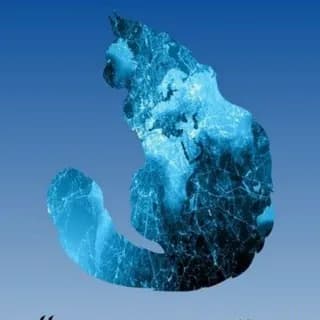 Profile image of Matematik soru çözüm grup on Telegram