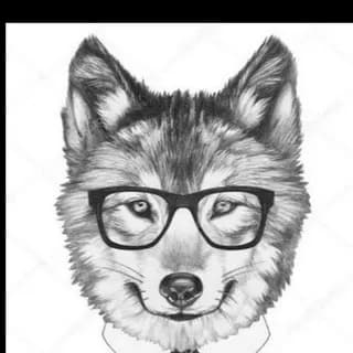 Profile image of SPOR ANALİZ CHAT😉 on Telegram