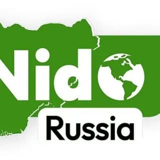 Profile image of NIDO Russia (НИДО) on Telegram