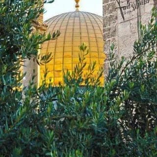 Profile image of مَسرىَ الأْقَصى on Telegram