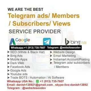 Profile image of SEO/ Website Development/ Google ads/Lead generation/Bulk WhatsApp/software Development/ Telegram Ads on Telegram