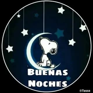 Imagen de perfil de 🌞Buenos días❤️noches🌛 ‼️ en Telegram