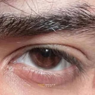 Profile image of ؏َ on Telegram