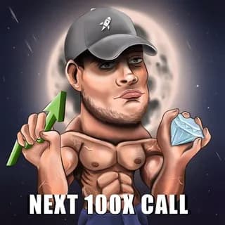 Profile image of Next 100X CALL💎 on Telegram