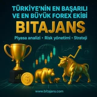 Image de profil de 💷 Bit Ajans 💲🇹🇷 Forex Kripto Borsa Trade Sinyal, Ücretsiz Analiz - Eğitim Grubu sur Telegram