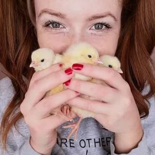 Profile image of Рыжий фермер👩🏼‍🌾 on Telegram