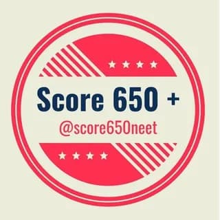 Immagine del profilo di NEET 650+ su Telegram