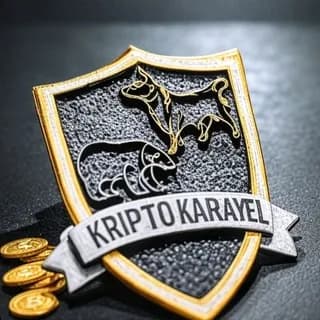 Profile image of 𝐊𝐫𝐢𝐩𝐭𝐨 𝐊𝐚𝐫𝐚𝐲𝐞𝐥 🇹🇷͜͜͡͡ on Telegram