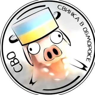 Profilbild von СВО- Свинка В Обмороке auf Telegram