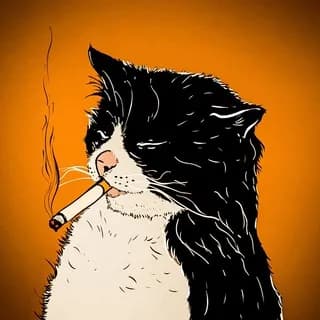 Profilbild von шерстяные проказники • коты auf Telegram