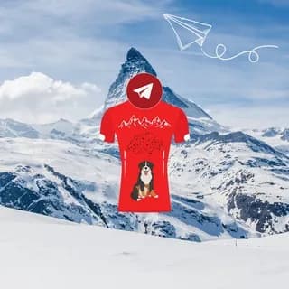 Profile image of Bonsoir, wir kommen aus der Svizzera! Switzerland Telegram Channel by RTP [Schweiz - Swiss - Suisse - Svizra - Svizzra - Suiza] on Telegram