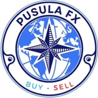 Profile image of 🧭 PUSULA FX SİNYAL KANALI 🧭 on Telegram