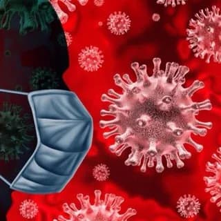 Image de profil de CoronaVirus Suisse - Infos, News & Actualités Internationales sur Telegram