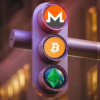 Profile image of VIP Signal Leaks on Telegram
