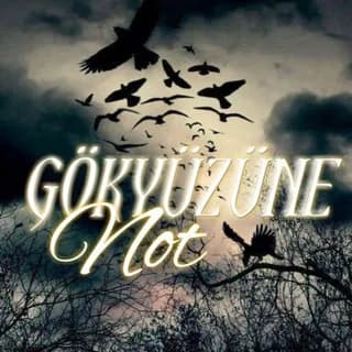 Image de profil de Gökyüzüne not 🫧 sur Telegram